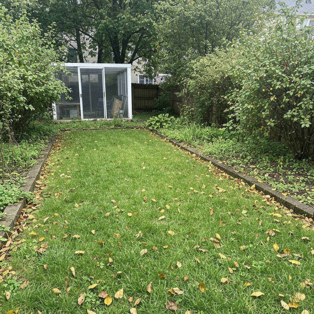 Backyard Makeover - Before